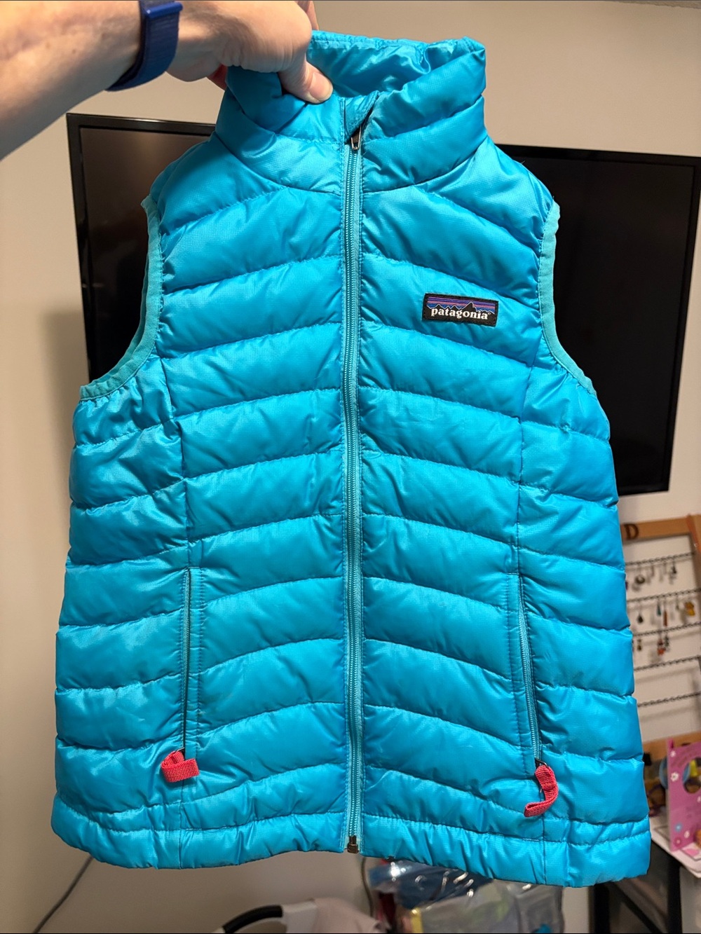 Patagonia Bright Turquoise Quilted Puffer Vest